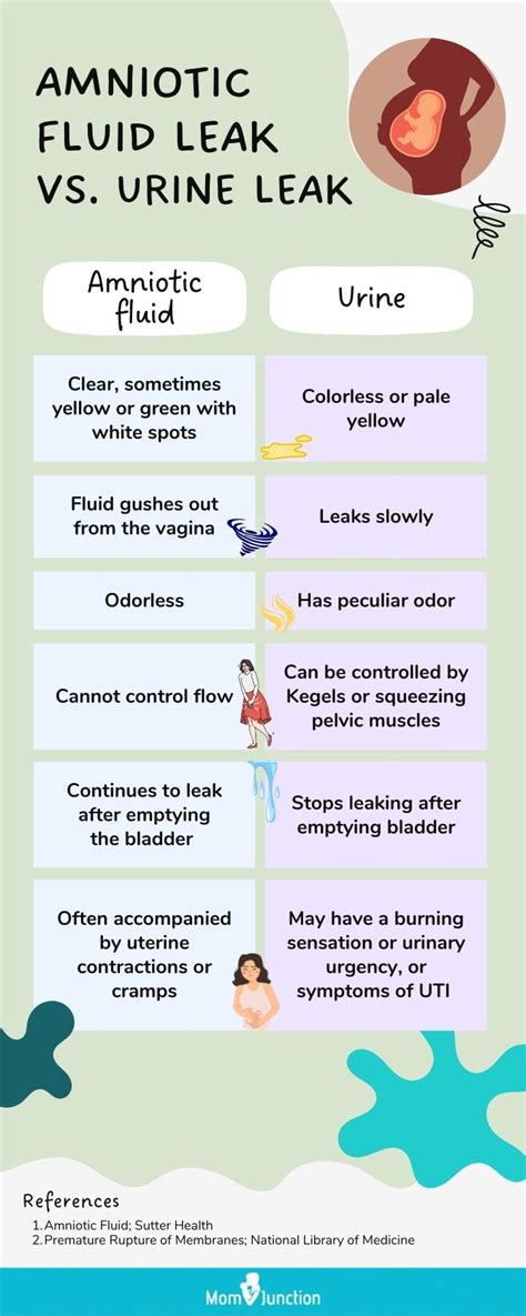 small leak of amniotic fluid|Amniotic Fluid: What is It and Signs of。